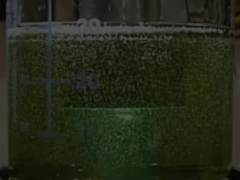 Processador de Cavitação Sonoquímica Ultrassônica de Amplitude de Alta Frequência 1200w